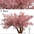 Sakura Tree: Exquisite Japanese Blossoms 3D model small image 7