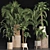 Exotic Palms Collection: Enhance Your Space 3D model small image 2