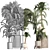 Exotic Palms Collection: Enhance Your Space 3D model small image 4