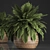 Tropical Plant Collection in Rattan Baskets 3D model small image 2