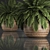 Tropical Plant Collection in Rattan Baskets 3D model small image 4