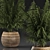 Tropical Plant Collection in Rattan Baskets 3D model small image 2