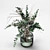 Elegant Glass Vase Bouquets 3D model small image 3