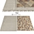 Soft and Stylish Carpets 3D model small image 1