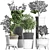 Exotic Bonsai Collection: 204 Sageretia Theezans 3D model small image 3