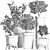 Exotic Bonsai Collection: 204 Sageretia Theezans 3D model small image 5