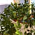 Artificial Hanging Plant in BITTERGURKA Planter 3D model small image 4