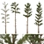 Pine Tree 03: Detailed Miniature 3D model small image 1
