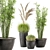 Outdoor Plants Set with Black Concrete Pot 3D model small image 1