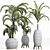 Tropical Palm Plants Collection 3D model small image 1