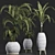 Tropical Palm Plants Collection 3D model small image 2