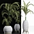 Tropical Palm Plants Collection 3D model small image 3