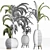 Tropical Palm Plants Collection 3D model small image 4