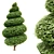 Burford Holly Spiral Topiary: Elegant and Versatile Garden Accent 3D model small image 1