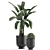 Tropical Plant Collection in Vig Planter 3D model small image 2
