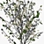 Blooming Cherry Branch in Vase 3D model small image 5