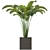 Versatile Apartment Plant: Indoor & Outdoor 3D model small image 1