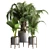 Tropical Green Indoor Plant 3D model small image 1