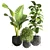 Indoor Greenery 14 3D model small image 1