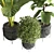Indoor Greenery 14 3D model small image 2