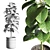 Sleek Indoor Plant Decoration 3D model small image 2