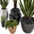 Rustic Concrete Pot with Outdoor Plants - Set of 50 3D model small image 4