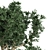 Exquisite Outdoor Plant Tree 3D model small image 3