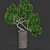 Elegant Indoor Plant 04 3D model small image 5
