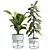 16-Inch Indoor Plant: 3D Model & Export Files 3D model small image 1