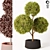 Elegant Topiary Plant: 135cm 3D model small image 2