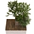 Nature's Haven Tree Box Set 3D model small image 3