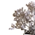 Nature's Haven Tree Box Set 3D model small image 5