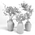 Indoor Plant Collection: 3DSMax Compatible 3D model small image 5