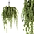 Indoor Hanging Pot Set 170 - Beautiful and Convenient 3D model small image 1