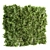 Ficus Cube Wall Décor 3D model small image 1