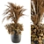 Exotic Indoor Plant Set 162 3D model small image 1