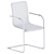 Elegant Cantilever Chair Thonet 3D model small image 3