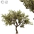 Giant Tree 3D Model: High-quality, Versatile Design 3D model small image 1