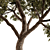 Giant Tree 3D Model: High-quality, Versatile Design 3D model small image 2