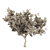 Giant Tree 3D Model: High-quality, Versatile Design 3D model small image 4