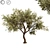 Giant Tree 3D Model: High-quality, Versatile Design 3D model small image 5