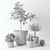 Stylish KAFFEBÖNA Plant Pot Set 3D model small image 4
