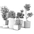 Indoor Plant Collection: Stylish and Versatile 3D model small image 4