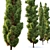 Mediterranean Cypress: 3 Height Options 3D model small image 4