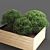 EcoPlant441: High-Poly & Distinctive 3D model small image 3