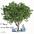 Camphor Tree Set with Tree Grill 3D model small image 1