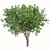 Camphor Tree Set with Tree Grill 3D model small image 4