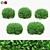 Boxwood Ball Bushes - Set of 5 3D model small image 1