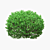 Boxwood Ball Bushes - Set of 5 3D model small image 3