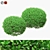 Large Boxwood Ball Bushes - Set of 2 3D model small image 1